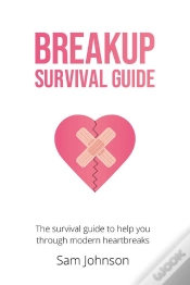 Capa do artigo Breakup Survival Guide