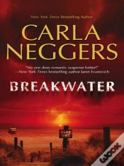 Capa do artigo Breakwater