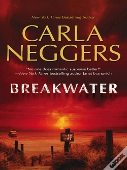 Capa do artigo Breakwater