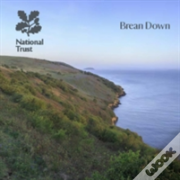 Brean Down
