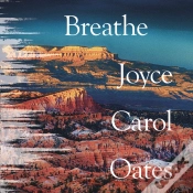 Capa do artigo Breathe