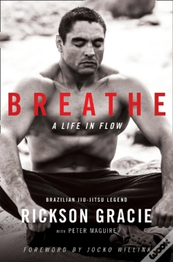 Capa do artigo Breathe