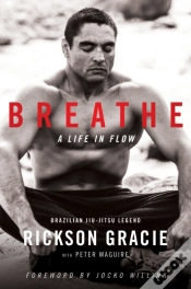 Capa do artigo Breathe