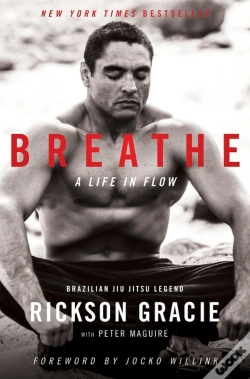 Capa do artigo Breathe