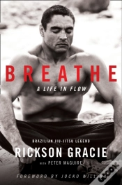 Capa do artigo Breathe