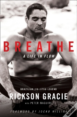 Capa do artigo Breathe