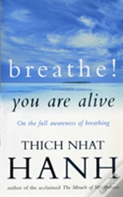 Capa do artigo Breathe! You Are Alive