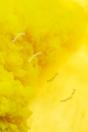 Breathing Aesthetics - Preview