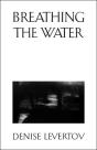 Breathing The Water - Preview
