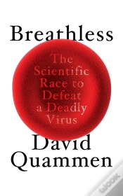 Capa do artigo Breathless