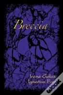 Breccia