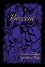 Breccia - Preview