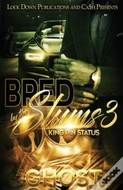 Capa do artigo Bred By The Slums 3