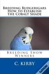 Breeding Budgerigars How To Establish The Cobalt Shade