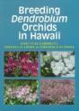 Breeding Dendrobium Orchids In Hawaii - Preview