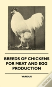 Capa do artigo Breeds Of Chickens For Meat And Egg Production