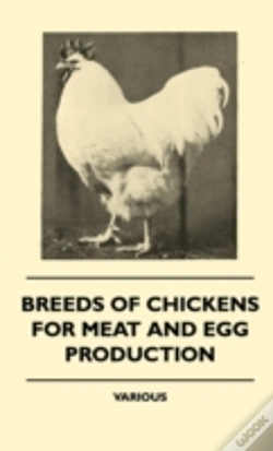 Capa do artigo Breeds Of Chickens For Meat And Egg Production