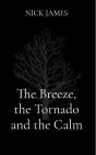 Breeze, The Tornado And The Calm - Preview