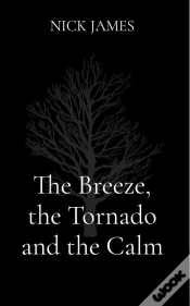 Capa do artigo Breeze, The Tornado And The Calm