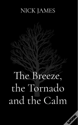 Capa do artigo Breeze, The Tornado And The Calm