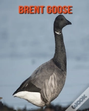 Capa do artigo Brent Goose