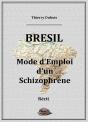 Brésil, Mode D'Emploi D'Un Schizophrène - Preview