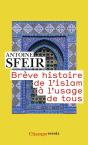 Brève Histoire De L'Islam À L'Usage De Tous - Preview