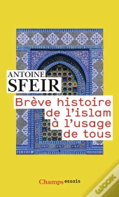Brève Histoire De L'Islam À L'Usage De Tous