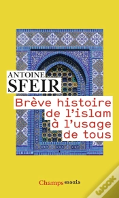 Capa do artigo Brève Histoire De L