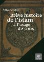 Brève Histoire De L'Islam À L'Usage Des Profanes - Preview