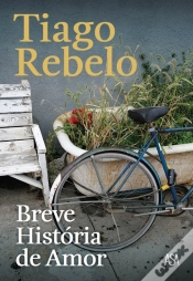 Capa do artigo Breve História De Amor