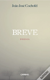 Capa do artigo Breve