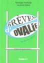 Brèves D'Ovalie ; Perles En Mêlée - Preview