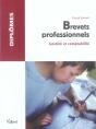 Brevets Professionnels ; Gestion Et Comptabilite - Preview