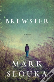 Capa do artigo Brewster