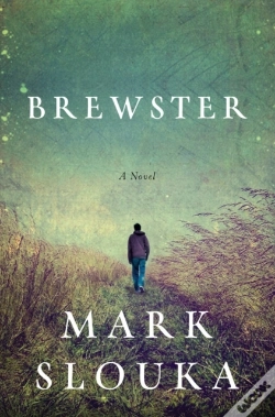 Capa do artigo Brewster