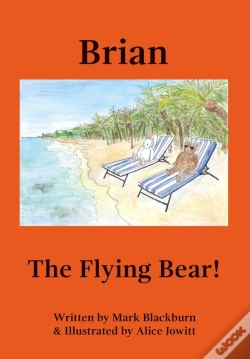 Capa do artigo Brian The Flying Bear!