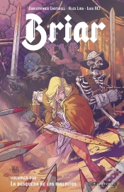 Capa do artigo Briar 2