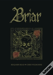 Capa do artigo Briar