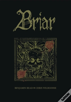 Capa do artigo Briar