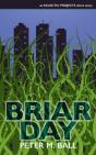 Briar Day - Preview