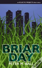 Capa do artigo Briar Day