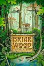 Briarwood - Preview