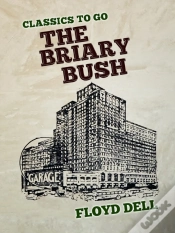 Capa do artigo Briary Bush