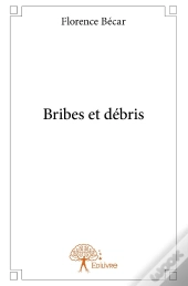 Bribes Et Débris