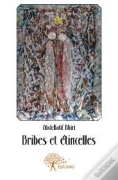 Bribes Et Etincelles