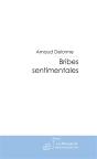 Bribes Sentimentales - Preview
