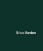 Brice Marden - Preview