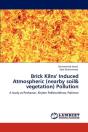 Brick Kilns' Induced Atmospheric (Nearby Soil& Vegetation) Pollution - Preview