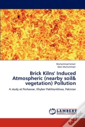 Capa do artigo Brick Kilns